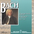 jürgen kussmaul、Alfred Lessing、Christoph Henkel、Johann Sonnleitner - II. Adagio, ma non troppo