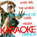 What Are the Words (In the Style of Chris Medina) [Karaoke Version] - Single