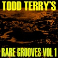 todd terry、Shawnee Taylor - Dafts Groove (Original Mix)