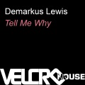 Demarkus Lewis - Tell Me Why