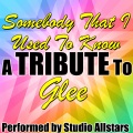 Various Artists - Somebody That I Used to Know