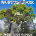 Cottonwood - Give Me One Reason