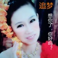 追梦 - 悠悠桃花情