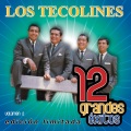 los tecolines - Toda Una Vida