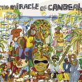 Carlinhos Brown、Felipe de Souza、Cristina Nascimento - Aldeia (Tradicion Afro-Brasileña)