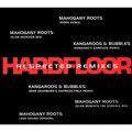 Hardfloor - Mahoghany Roots (Work Remix)(Remix)
