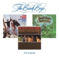The Beach Boys - When I Grow Up