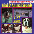 Stanley R. Fields - Pigeons & Other Birds
