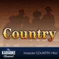 My List (In the Style of Toby Keith) [Vocal and Karaoke Versions]