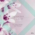 Deep Active Sound - Friends (Vlada D'Shake Deep Remix)