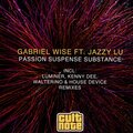 Gabriel Wise、Jazzy Lu - Passion Suspense Substance (Gabriel Wise & Roby Di Malone Remix)