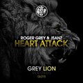 JSanz、Roger Grey - Heart Attack