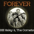Bill Haley & The Comets、the Comets、Bill Haley - Dim, Dim the Lights
