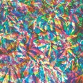 Caribou - Your Love Will Set You Free