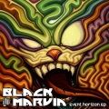 Black Marvin - The Magick Trick