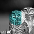 Chris Santana - Masks (Original Mix)