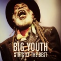 Big Youth - Where All Them Bwoy (ed)(Remaster)