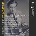 Gerhard Taschner、Berliner Philharmoniker、bamberg symphony orchestra - Violin Concerto in D Major, Op. 35: I. Allegro moderato