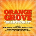 Orange Grove - Ready For It (Lumberjack Radio Edit)