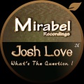 Josh Love - What's The Question ! (Original Mix)