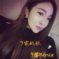 9家战歌 (Remix)