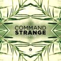 Command Strange、Satl、Pouyah - Life
