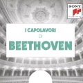 Emanuel Ax、Zubin Mehta、Ludwig van Beethoven、New York Choral Artists、New York Philharmonic Orchestra - Finale. Marcia, assai vivace - Allegretto, ma non troppo