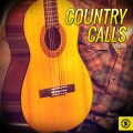 bob wills - Who Walks in When I Walk Out