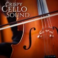 Grigori Feygin、Viktor Poltoratsky - Cello Sonata No. 1 in D Major, Op. 18: II. Siciliano