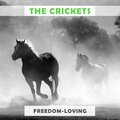 The Crickets - Time Will Tell