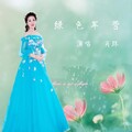 肖环 - 绿色军营