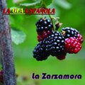 ricardo modrego、Paco de Lucía - Malagueña