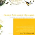 Orchestra Maffei String Quartet - Love Is a Many Splendored Thing