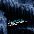 Soundscapes! - A Quiet Walk