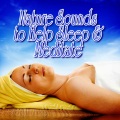 Nature Sound - Relaxing Jungle Sounds for Deep Meditation
