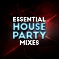 Deep House Essentials - It's What You Do (Remix)