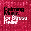 Stress Relief - Paradigm
