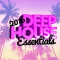 Deep House Essentials、Alex Buchanan - On Top of the World