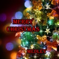 Silver - Merry Christmas Medley: I'd Like to Teach the World to Sing / Do They Know It's Christmas / We Are the World / Don't Worry Be Happy / Last Christmas / Captain of Her Heart / Thank God It's Christmas / We Have All the Time in the World / Happy Xmas