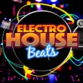 Deep Electro House Grooves - In a Dream