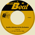 Buddy Johnson & His Orchestra - Far Cry
