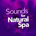 Nature Sounds - Runnel Birdsong