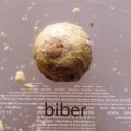 Biber