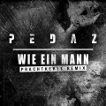 Wie ein Mann (Prachtkerle )(Remix)