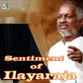 madhubalakrishnan、arunmozhi - Piraye (From 