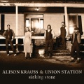 Union Station - Sinking Stone