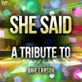 Ameritz Top Tributes - She Said