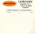 capricorn - Spanish Fly (Original Mix)