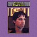 steve taylor - Thawing Out
