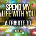Ameritz Top Tributes - Spend My Life with You